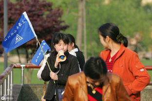 易学易做小项目之游山玩水做导游 如何轻松提供导游服务